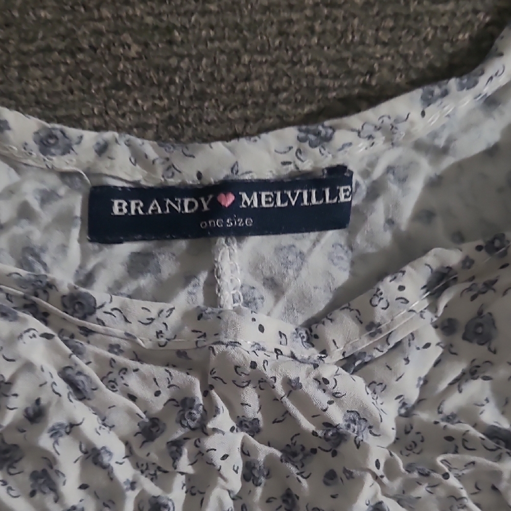 Brandy Melville White Top with Blue Floral Design